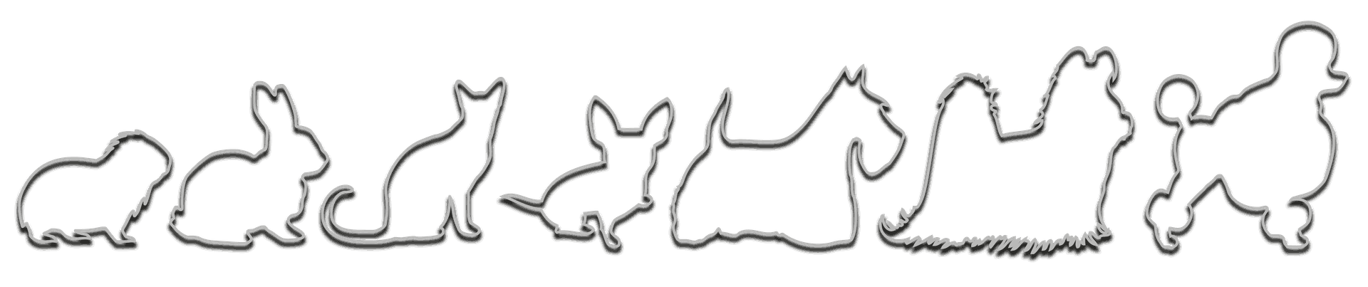 My Website